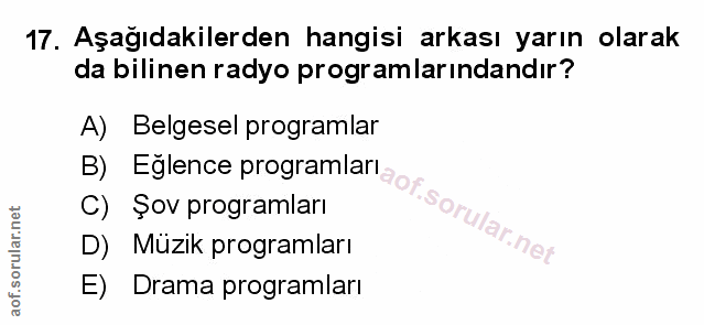 Soru 17
