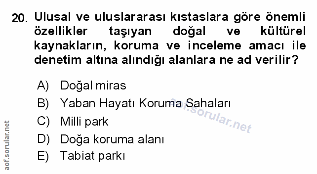 Soru 20