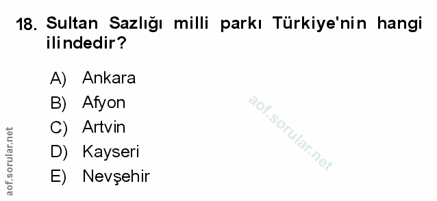 Soru 18