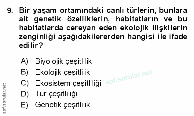 Soru 9