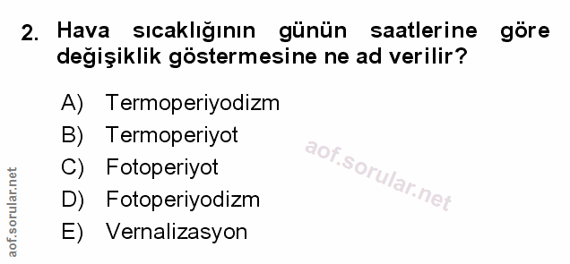 Soru 2