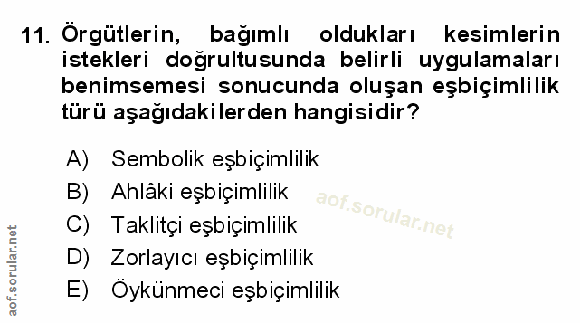 Soru 11