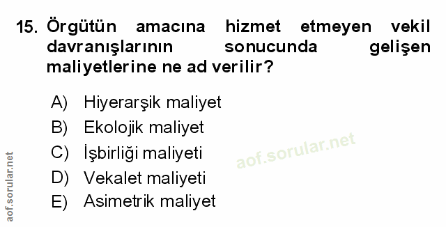 Soru 15