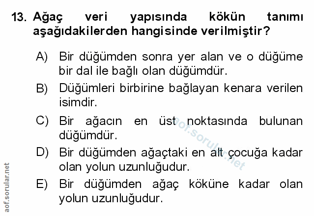 Soru 13