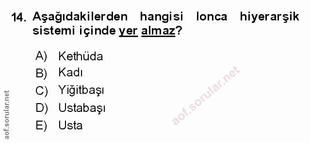 Soru 14