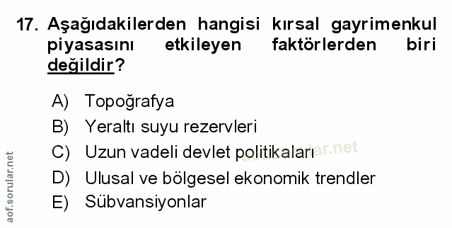 Soru 17