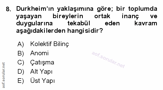 Soru 8