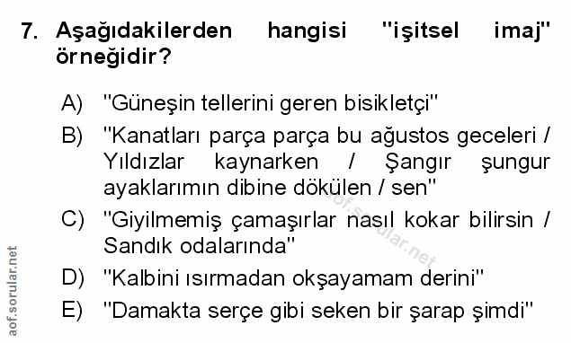 Soru 7