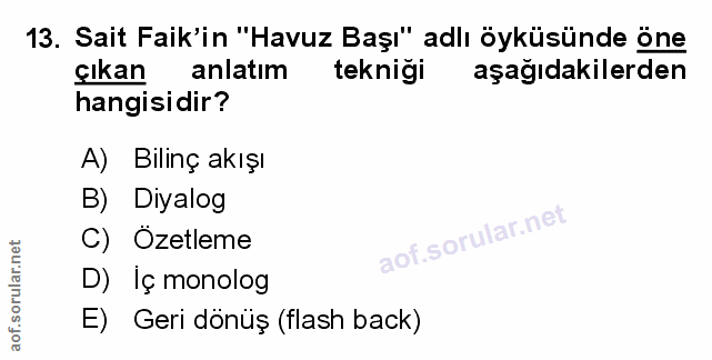 Soru 13