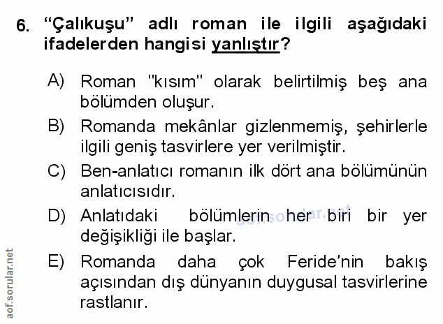 Soru 6