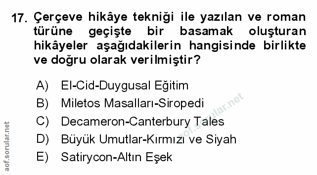 Soru 17