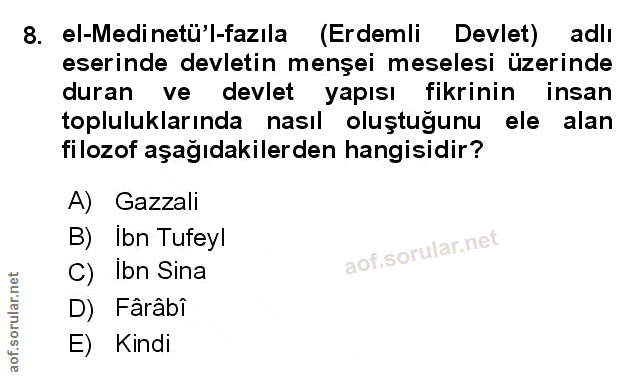 Soru 8