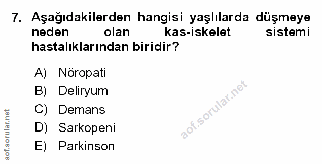 Soru 7