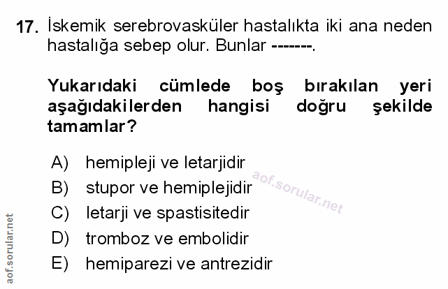 Soru 17