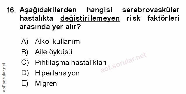 Soru 16