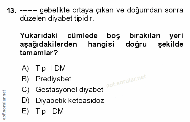 Soru 13