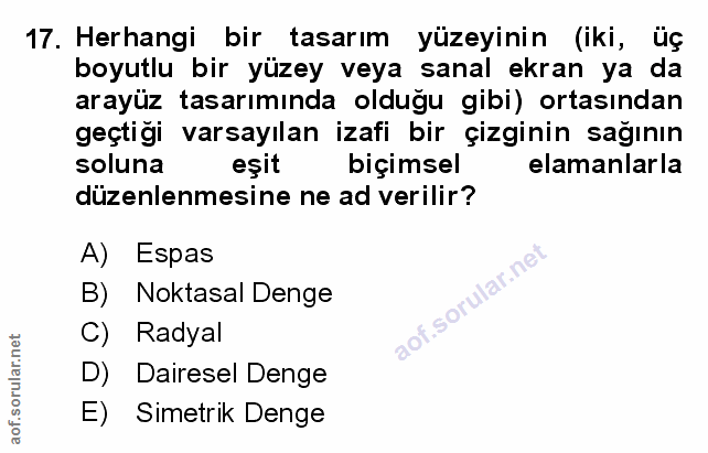 Soru 17
