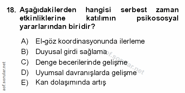 Soru 18