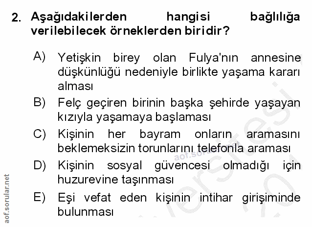 Soru 2