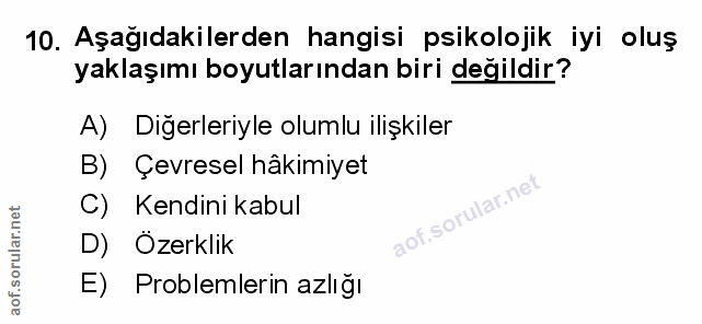 Soru 10