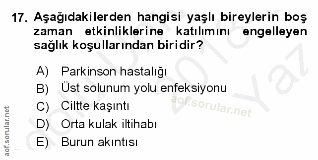 Soru 17