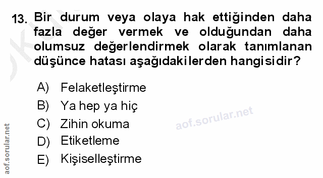 Soru 13