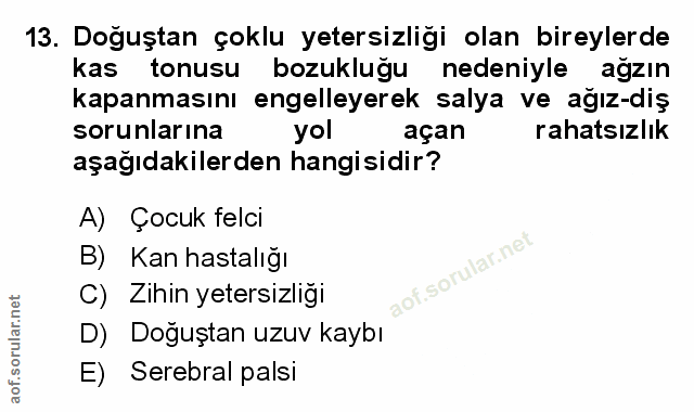 Soru 13