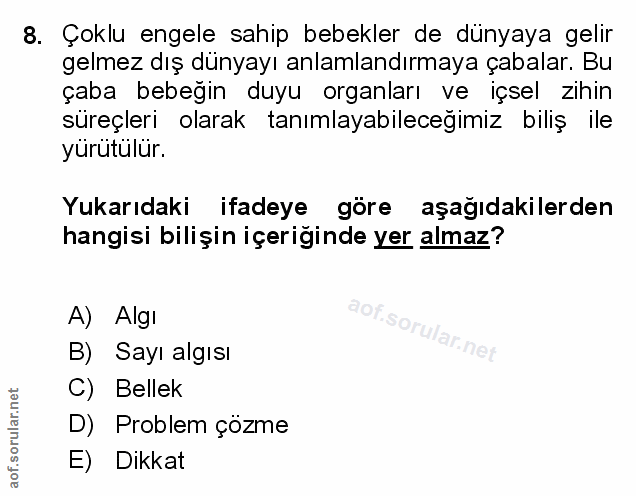Soru 8