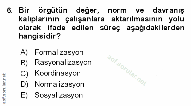 Soru 6