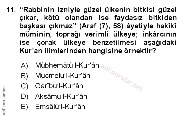 Soru 11