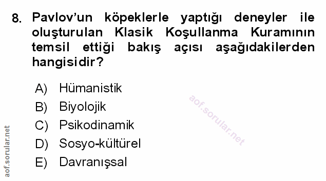 Soru 8