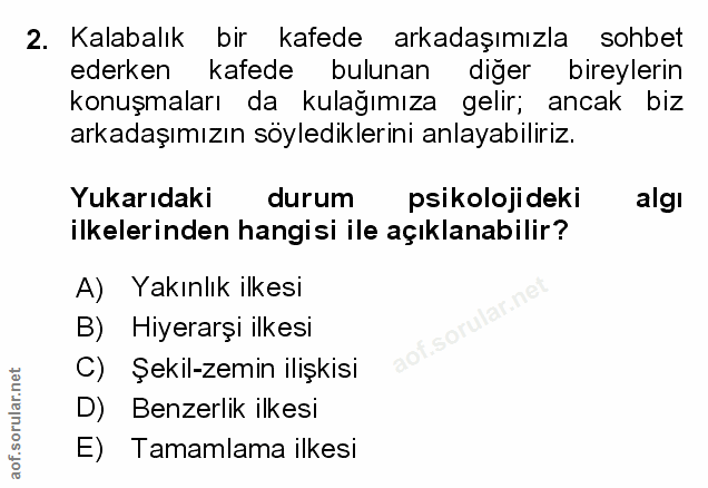 Soru 2