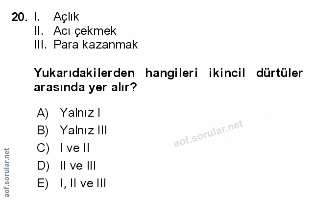 Soru 20