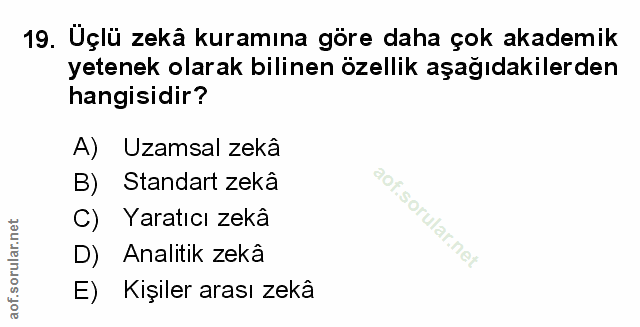 Soru 19
