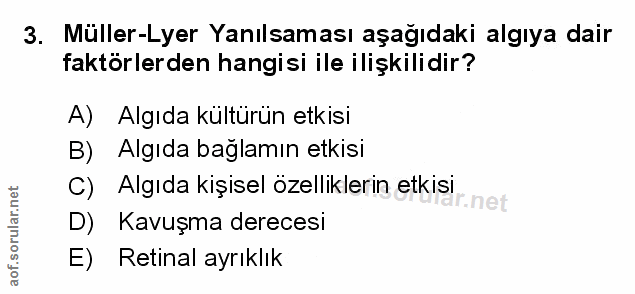 Soru 3