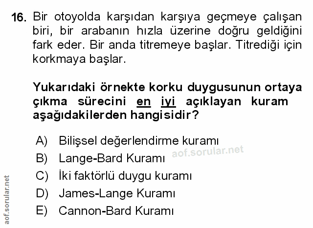 Soru 16