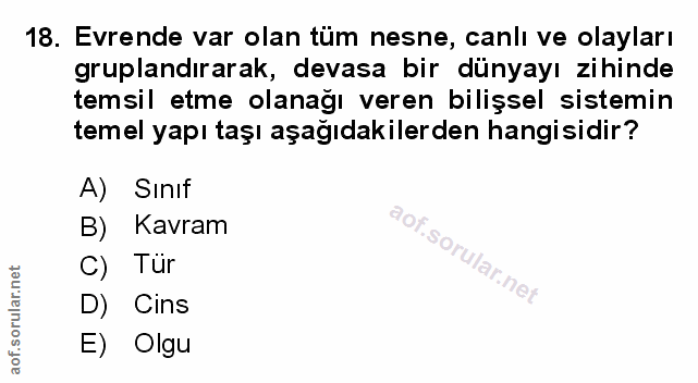 Soru 18
