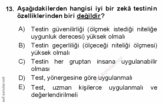 Soru 13