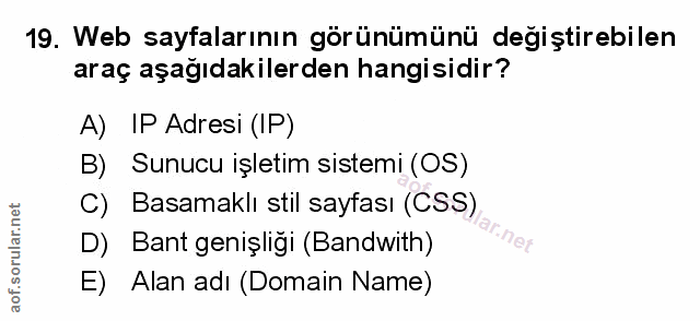 Soru 19