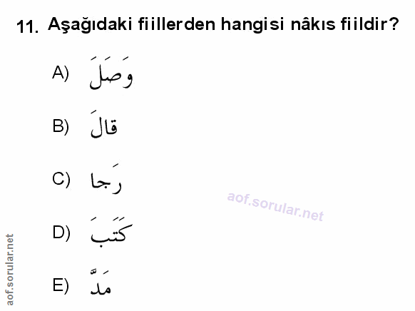 Soru 11