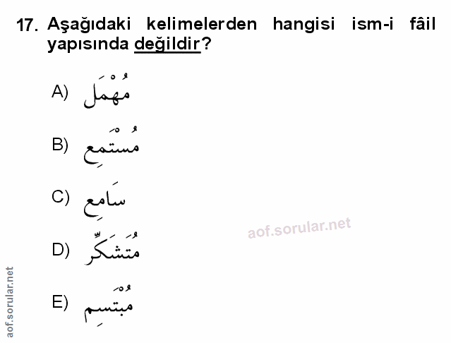 Soru 17