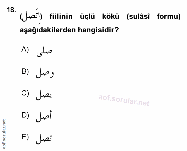 Soru 18