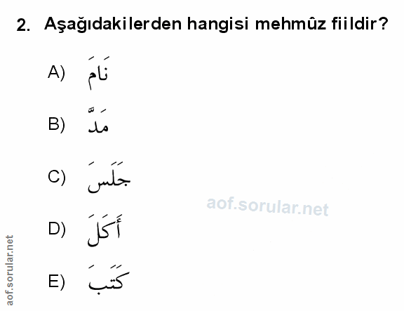 Soru 2