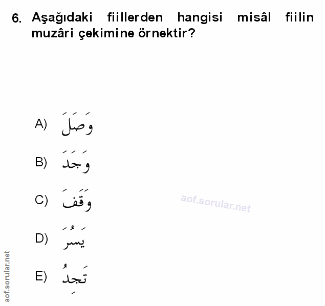 Soru 6