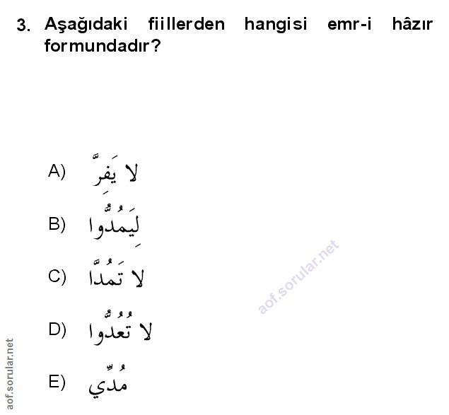 Soru 3