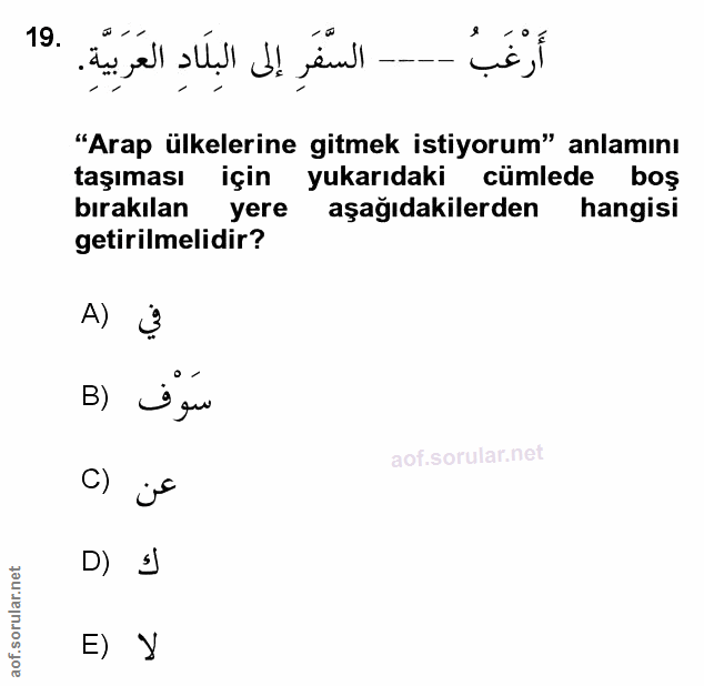 Soru 19