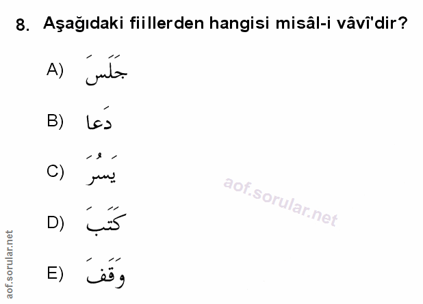 Soru 8