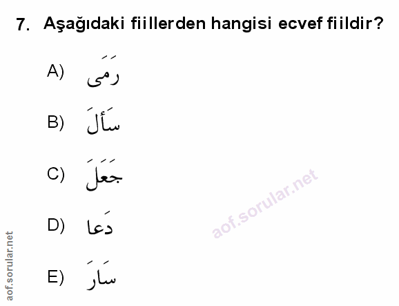 Soru 7