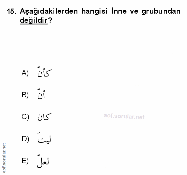 Soru 15