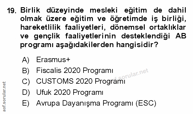Soru 19